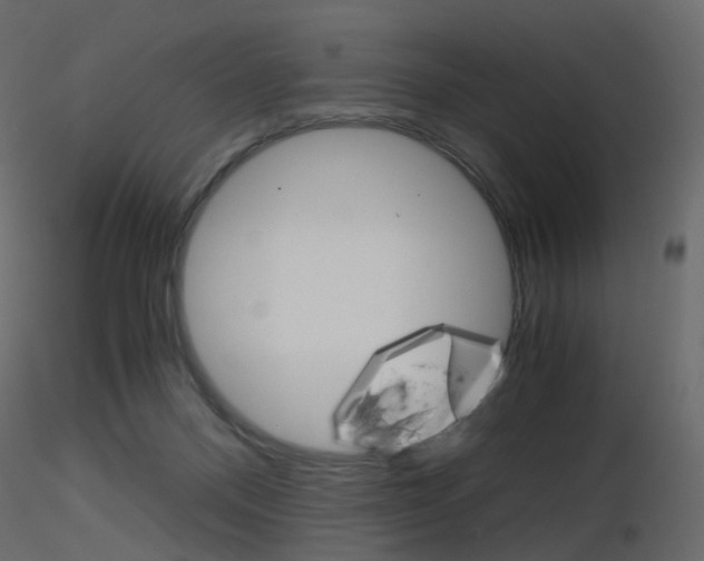 X0000115700120200912241531