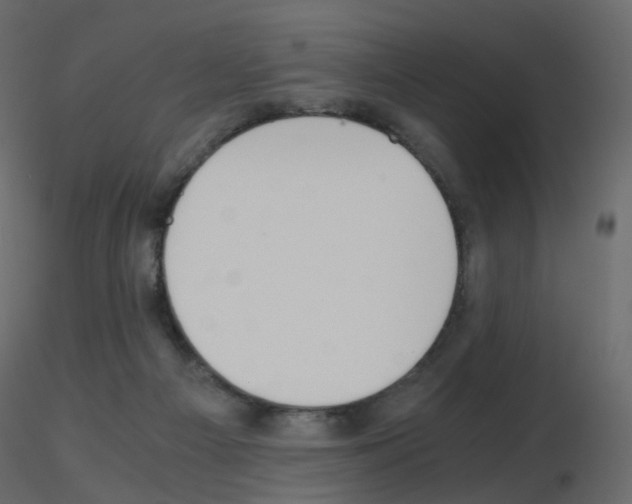 X0000115700121200912241531