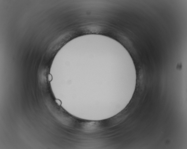 X0000115700122200912241531