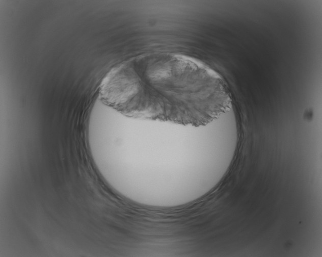 X0000115700123200912241531