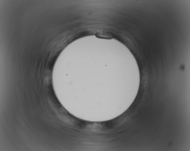 X0000115700125200912241531