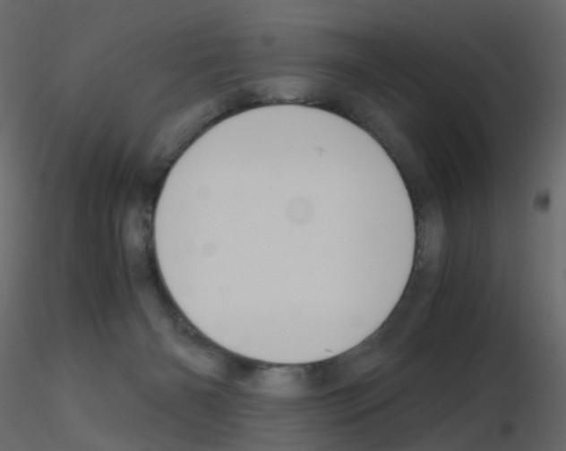 X0000115700126200912241531