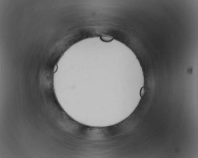 X0000115700129200912241531