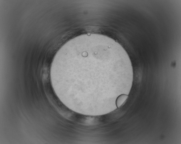 X0000115700130200912241531