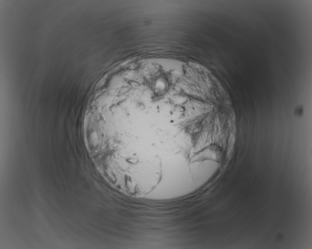 X0000115700131200912241531