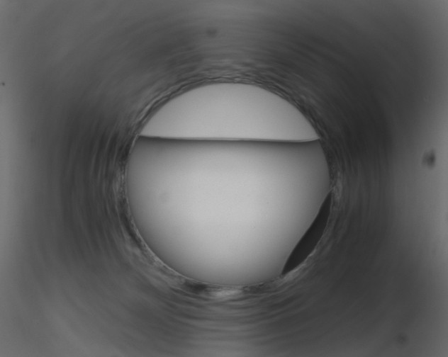 X0000115700132200912241531