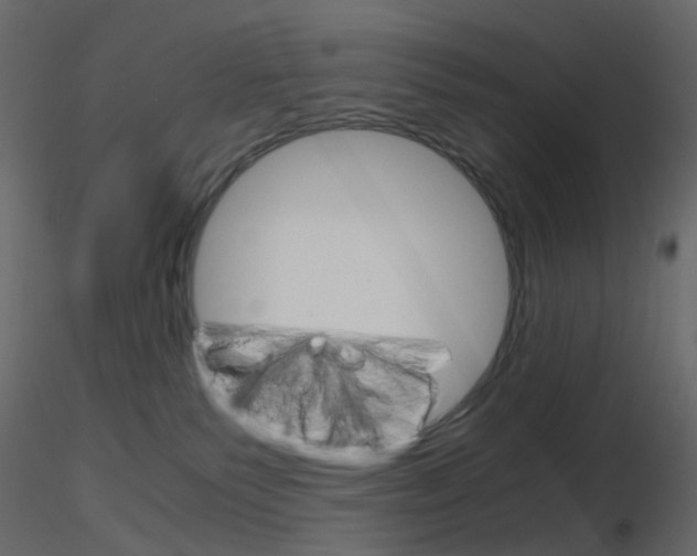 X0000115700135200912241531