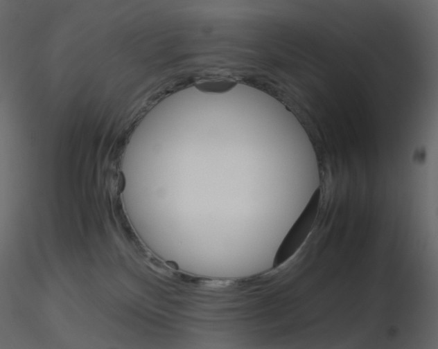 X0000115700136200912241531