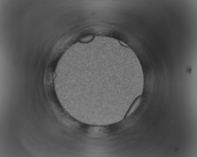 X0000115700137200912241531