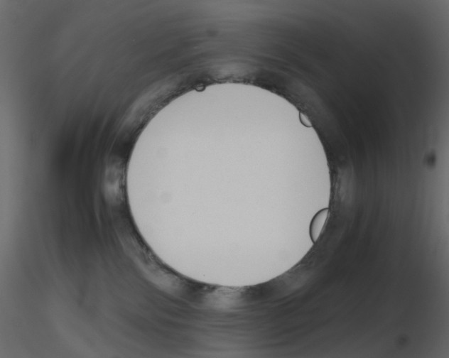 X0000115700138200912241531