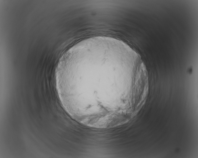 X0000115700139200912241531