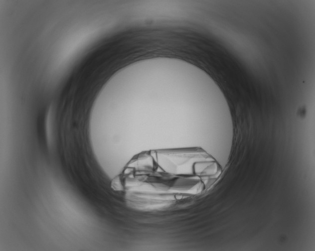 X0000115700140200912241531