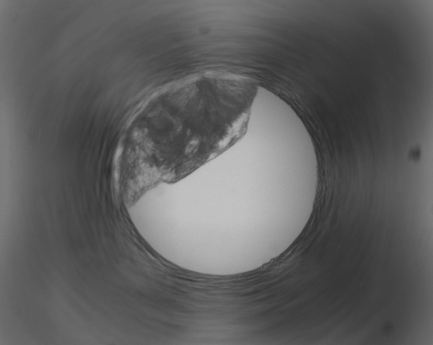 X0000115700143200912241530