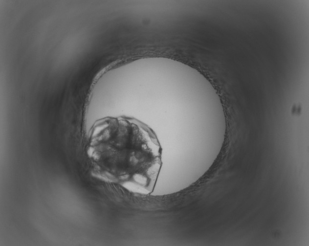 X0000115700144200912241530