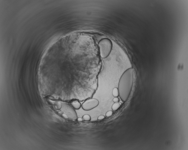 X0000115700145200912241530