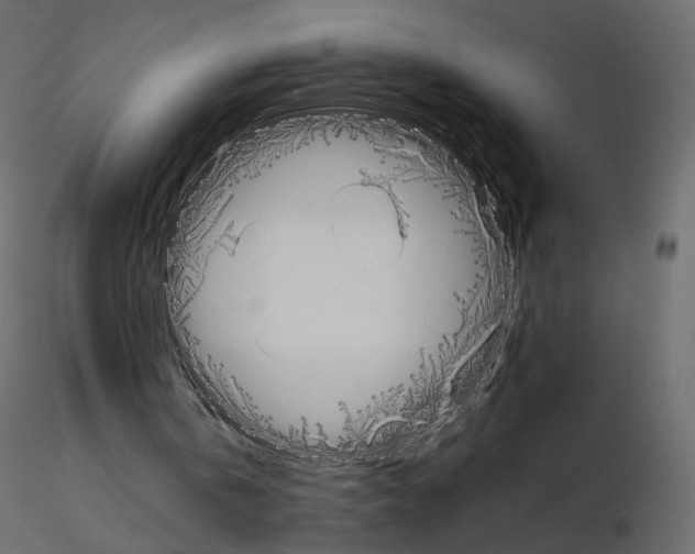 X0000115700146200912241530