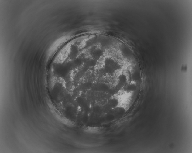 X0000115700149200912241530