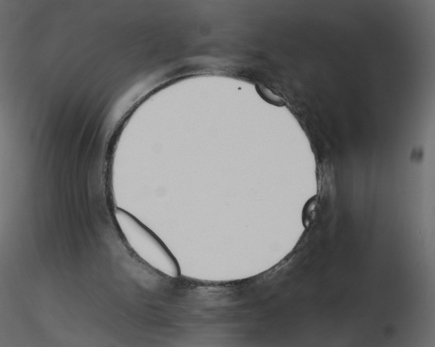 X0000115700150200912241530