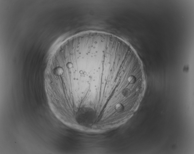 X0000115700151200912241530