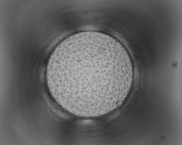 X0000115700153200912241530