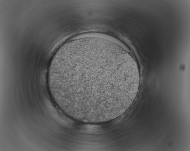 X0000115700154200912241530