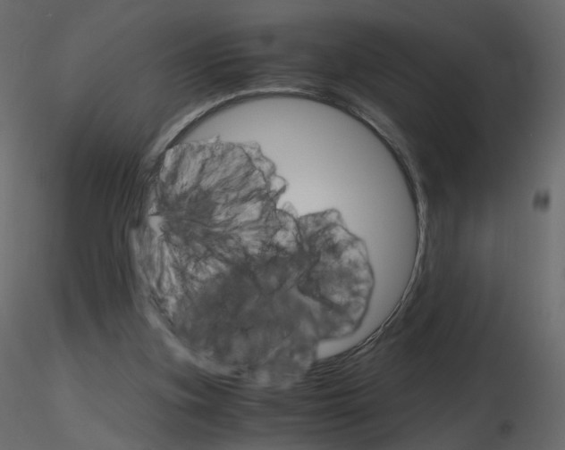 X0000115700155200912241530