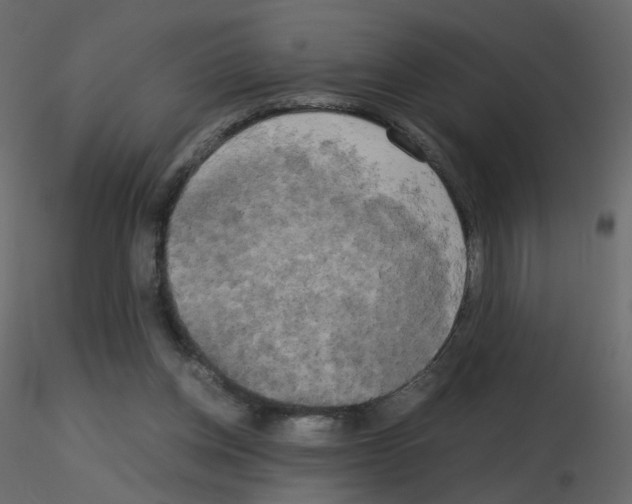 X0000115700158200912241530