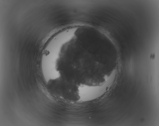 X0000115700159200912241530