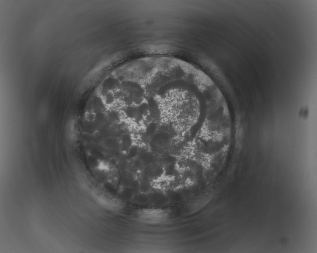 X0000115700161200912241530