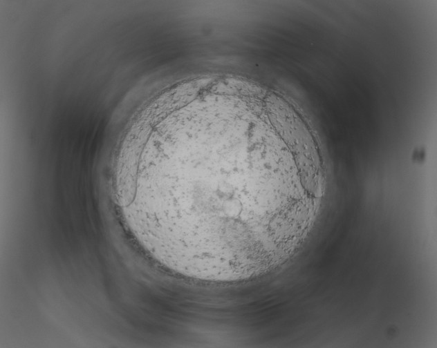 X0000115700162200912241530