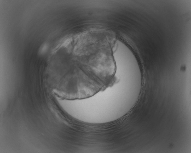 X0000115700163200912241530