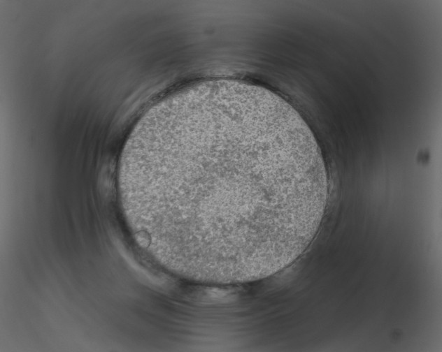 X0000115700166200912241530