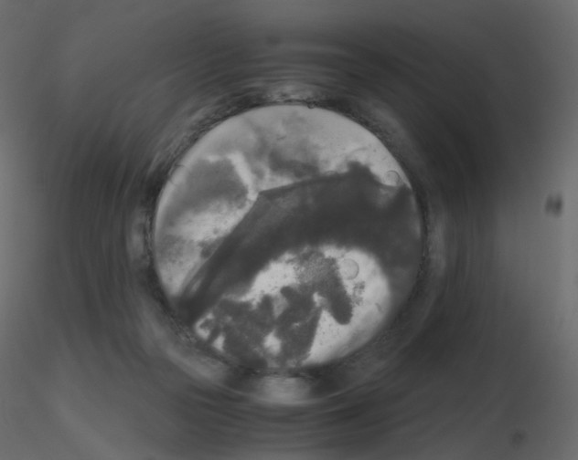 X0000115700169200912241530