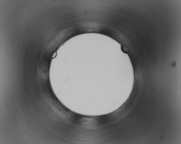 X0000115700170200912241530