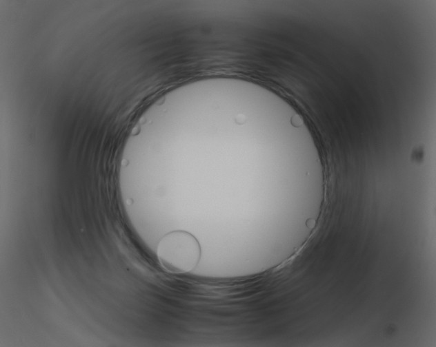 X0000115700171200912241530