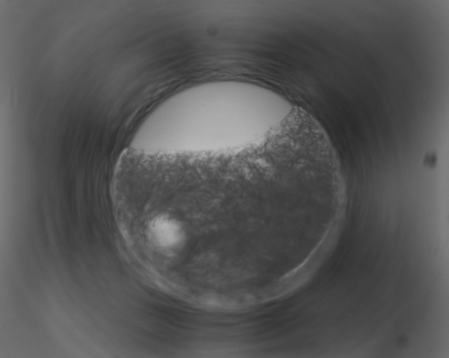 X0000115700175200912241530