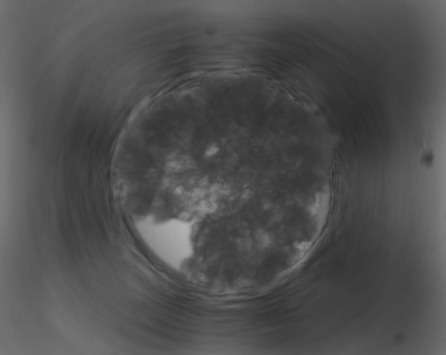 X0000115700179200912241530