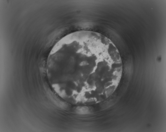 X0000115700181200912241530