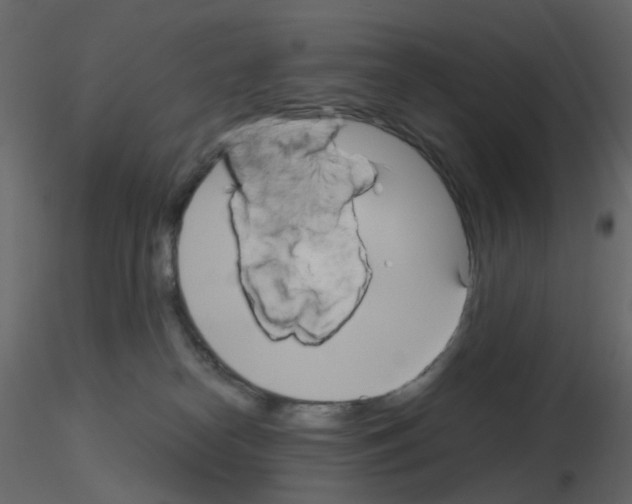 X0000115700182200912241530