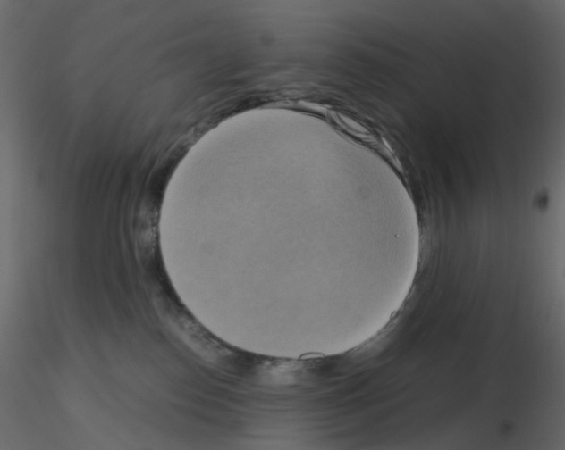 X0000115700186200912241530