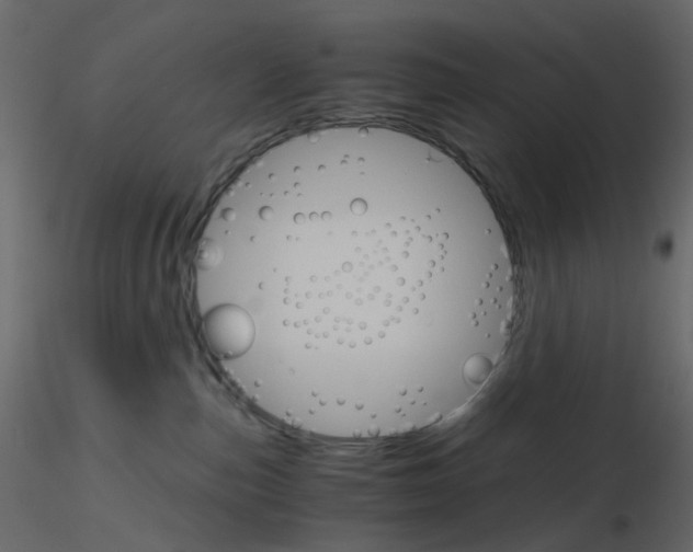 X0000115700187200912241530