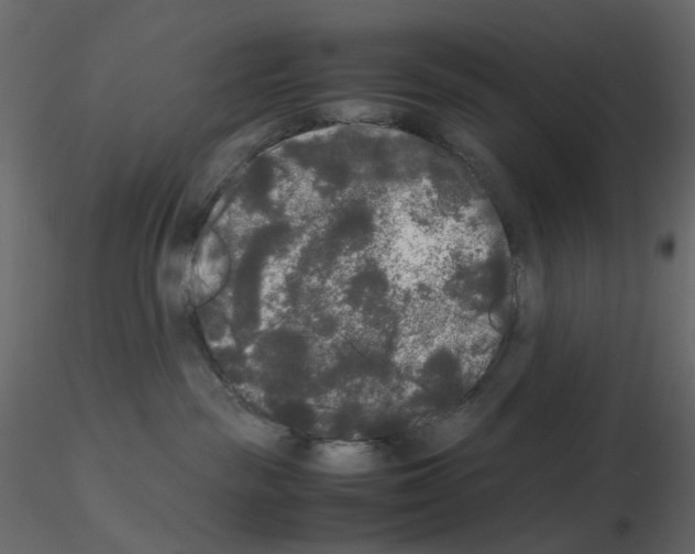 X0000115700189200912241530