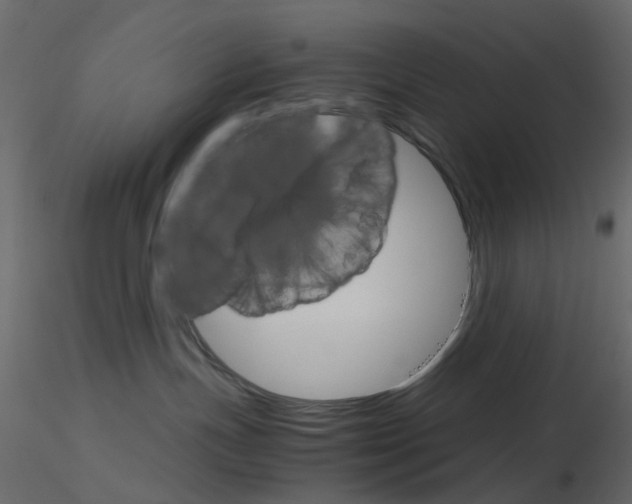 X0000115700191200912241530