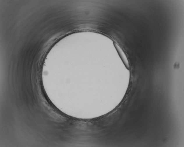 X0000115700193200912241530