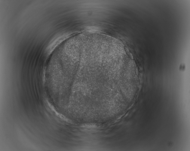 X0000115700194200912241530