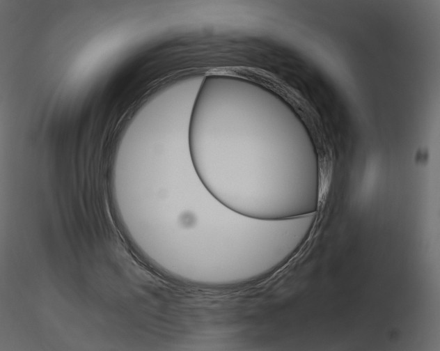 X0000115700195200912241530