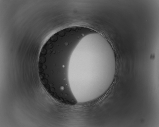 X0000115700196200912241530