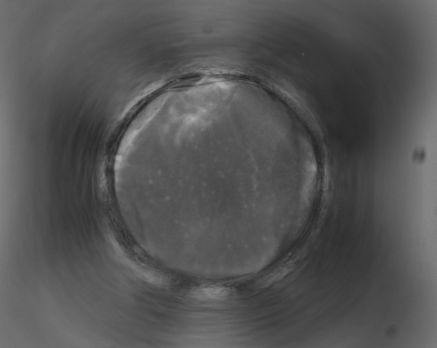 X0000115700202200912241530