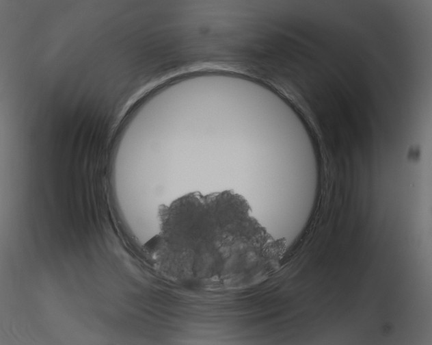 X0000115700204200912241530