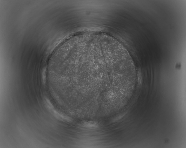 X0000115700206200912241530